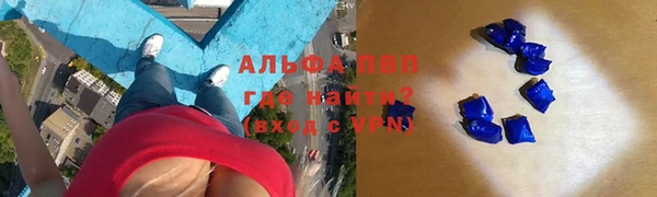 крисы Сосновый Бор