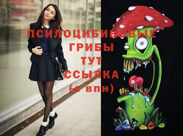 спайс Сосновоборск