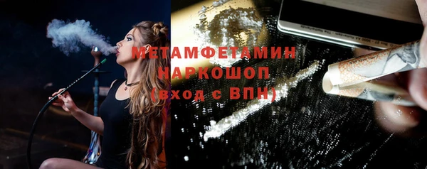 крисы Сосновый Бор