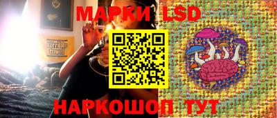 ALPHA PVP Моздок