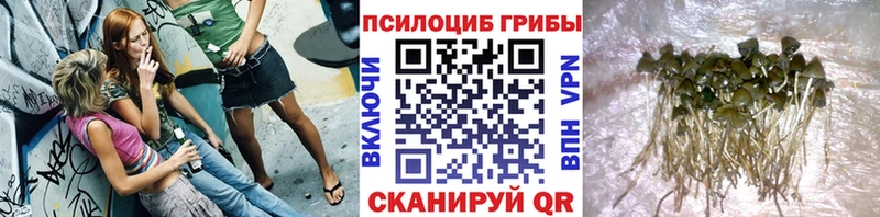 Псилоцибиновые грибы Magic Shrooms  Вятские Поляны 