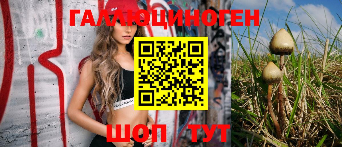 Галлюциногенные грибы Cubensis  Галлюциногенные грибы Magic Shrooms  Вход с VPN  Вятские Поляны 